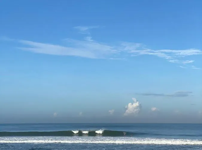 The Koi Canggu